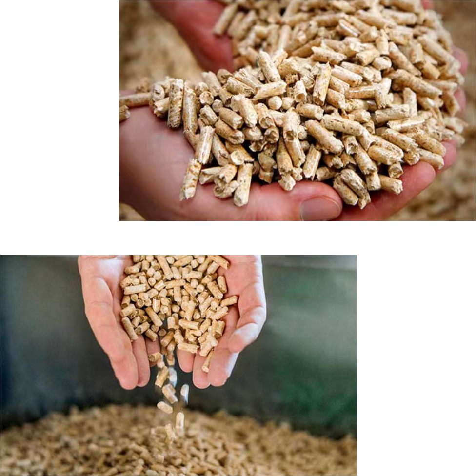 FAQ Multi Energi Biomassa