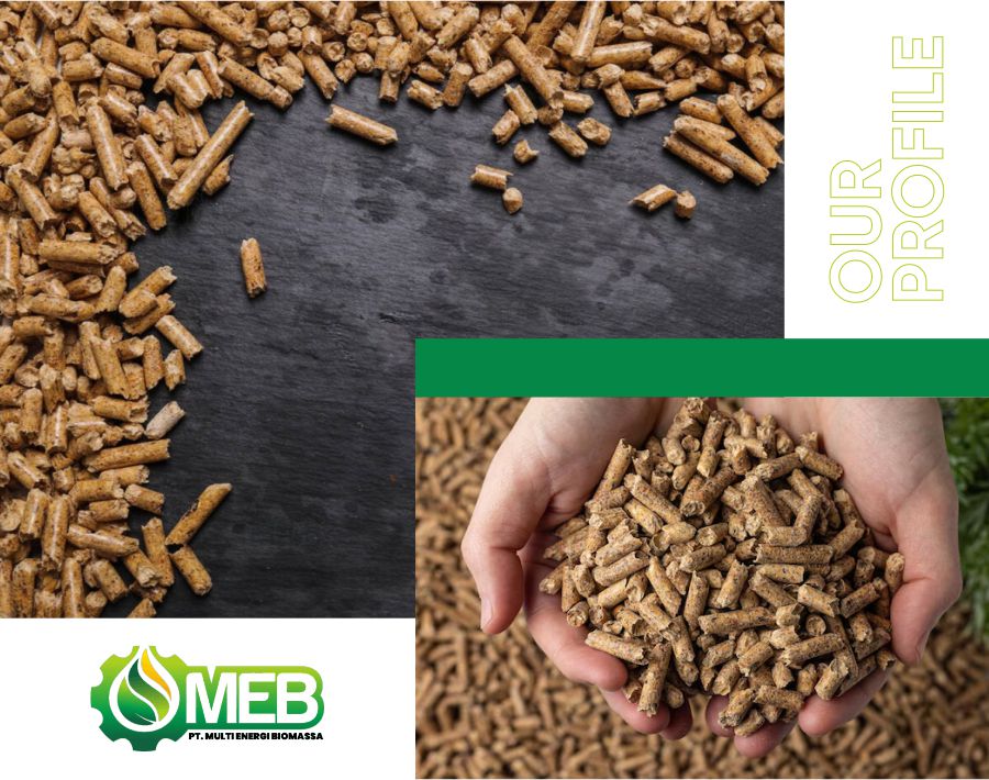 Profil Multi Energi Biomassa